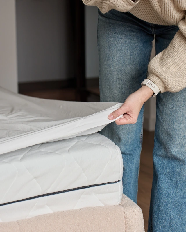 Establish A Daily Reset Habit