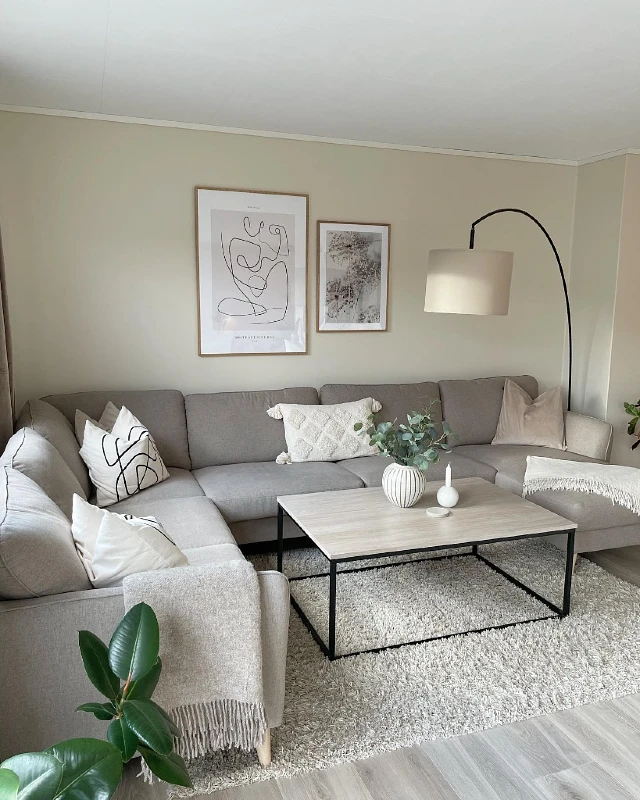 Minimalist Shelf Unit with Statement Artwork